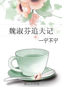魏淑芬追夫记