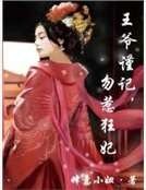 《王爺謹記,勿惹狂妃》
