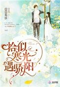 《恰似寒光遇驕陽》