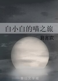 白小白的喵之旅