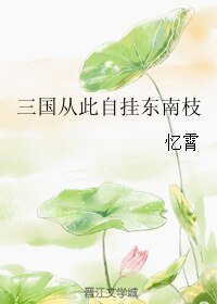 《三國從此自掛東南枝》