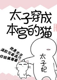 《太子穿成本宮的貓》