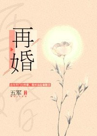 《再婚(耽美)》