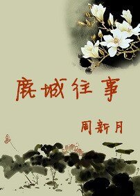 《鹿城往事》