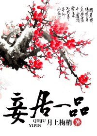 《妾居一品》