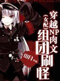 《穿越NP肉文組團刷怪》