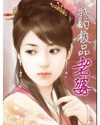 我的極品老婆