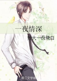 《一夜情深》