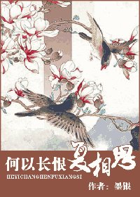 何以長恨復相思