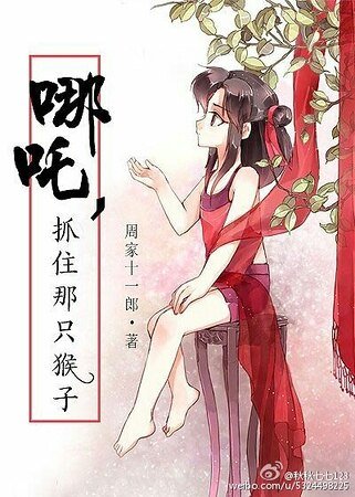 《哪吒,抓住那隻猴子》