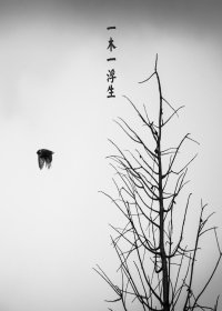 《浮生千緒系列之拈花》