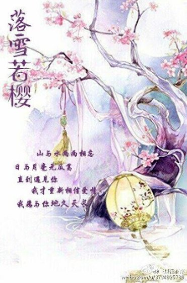 《落雪若櫻》