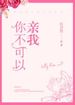 《你不可以親我》