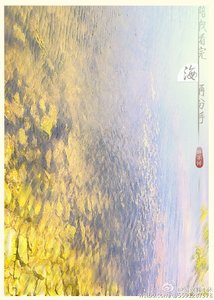 《陪我看完海再分手》