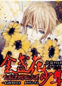 《金盏花少年》