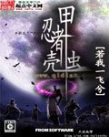 《忍者甲殼蟲》