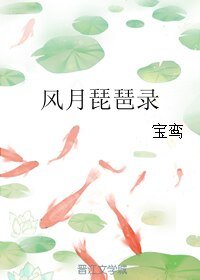 《風月琵琶錄》