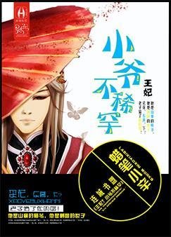 《王妃?小爺不稀罕》