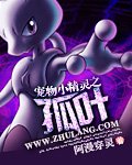 《寵物小精靈之孤葉》