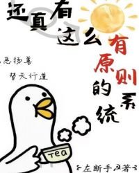 《還真有這麼有原則的系統》