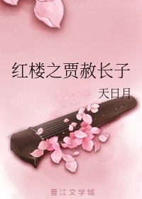 《(BG/紅樓同人)紅樓之賈赦長子》