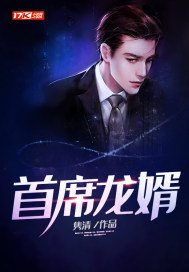 《首席龍婿》
