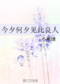 《今夕何夕見此良人/你被包 養了》