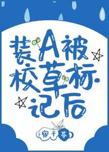 《裝A後我被校草標記了》
