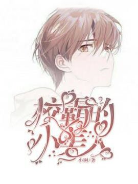《校霸的小美人》