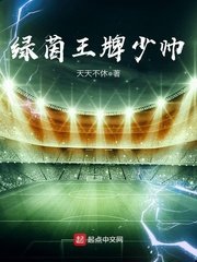 《綠茵王牌少帥》