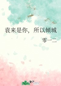 《袁來是你,所以傾城》