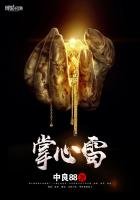《掌心雷》