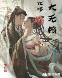 《紅樓大無賴》