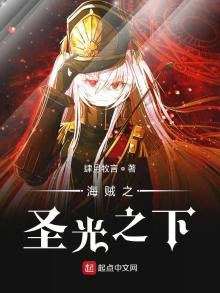 《海賊之聖光之下》