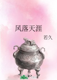 《風落天涯》