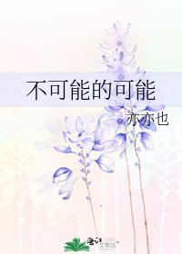 不可能的可能