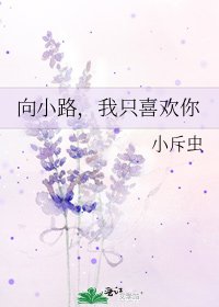《向小路,我只喜歡你》