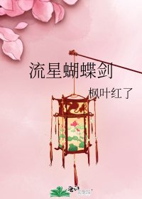 《流星蝴蝶劍》