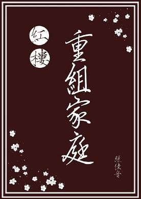 《(紅樓同人)紅樓重組家庭》