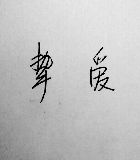 摯愛