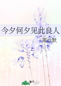 《今夕何夕見此良人》