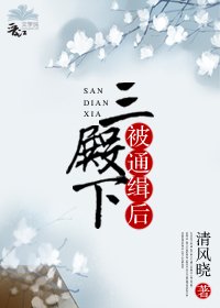 《三殿下被通缉后》