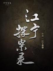 江寧探案錄