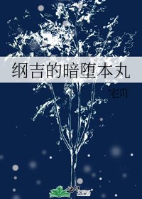 《綱吉的暗墮本丸》