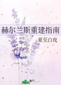 《赫爾蘭斯重建指南》