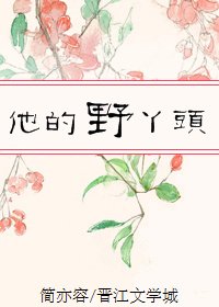《他的野丫頭》