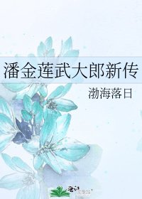 《潘金蓮武大郎新傳》