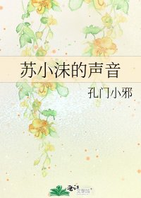 《蘇小沫的聲音》