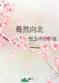 《蓦然向北》