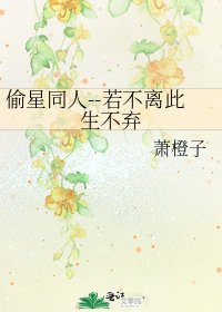 《偷星同人--若不離此生不棄》